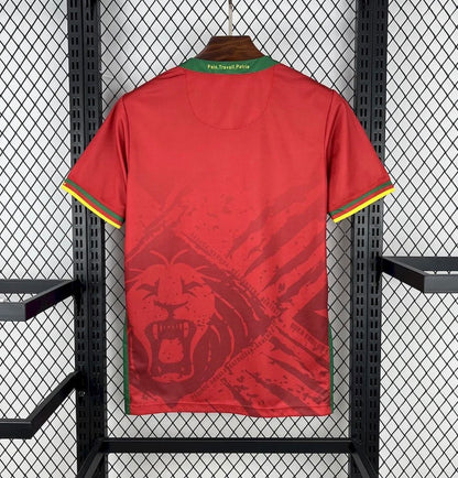 Maillot Cameroun extérieur 25/26