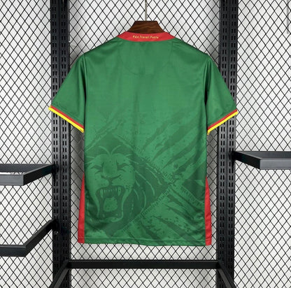 Maillot Cameroun domicile 25/26